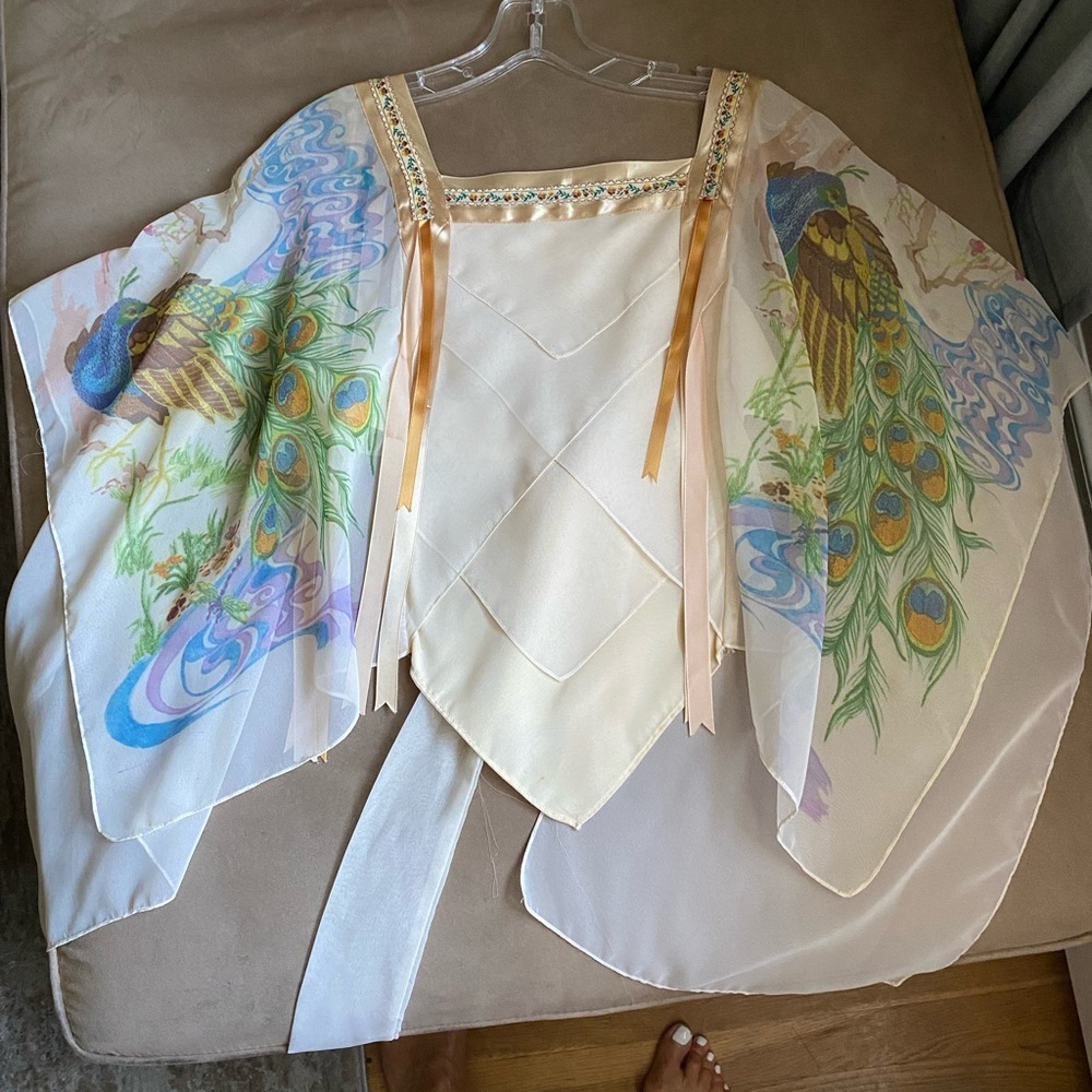 Vintage Chiffon top.  Like new